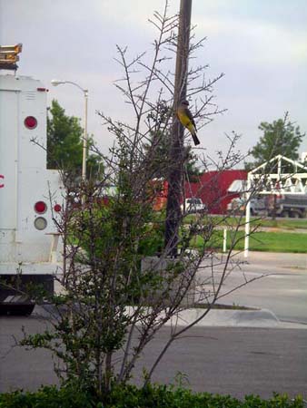 IMGP1827