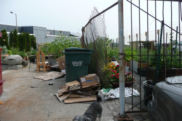 P1060090.JPG
