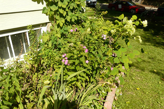 P1180190