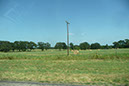 P1310756