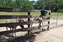 P1220597