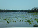 P1020389