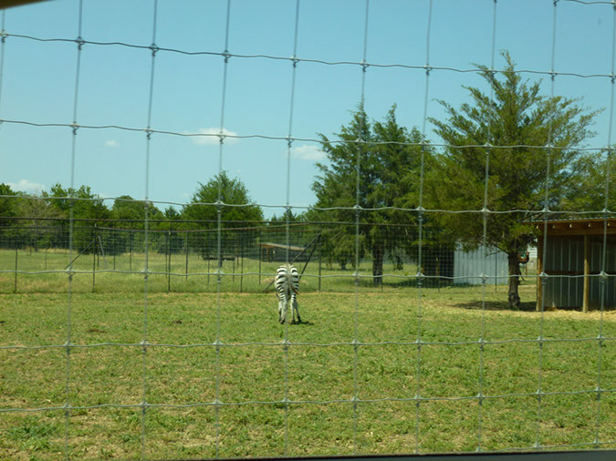 P1020582