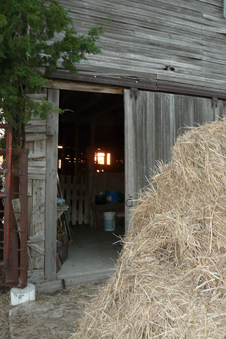 P1220862
