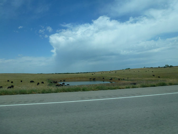 P1040878
