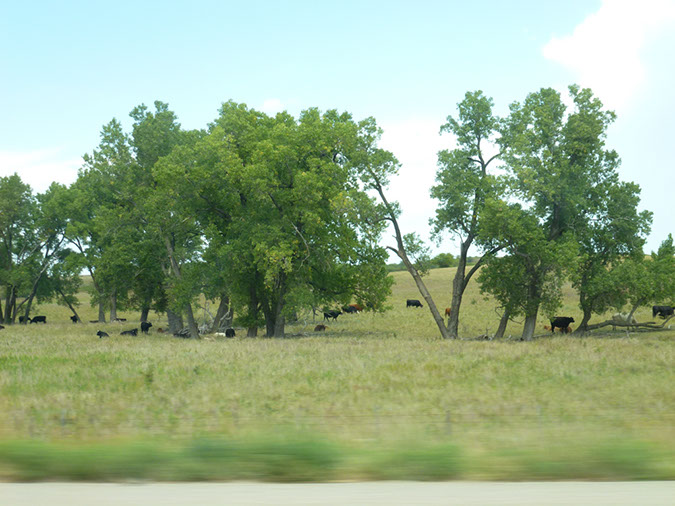 P1040880
