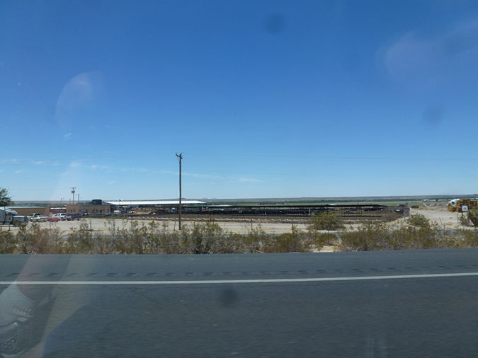 P1090209