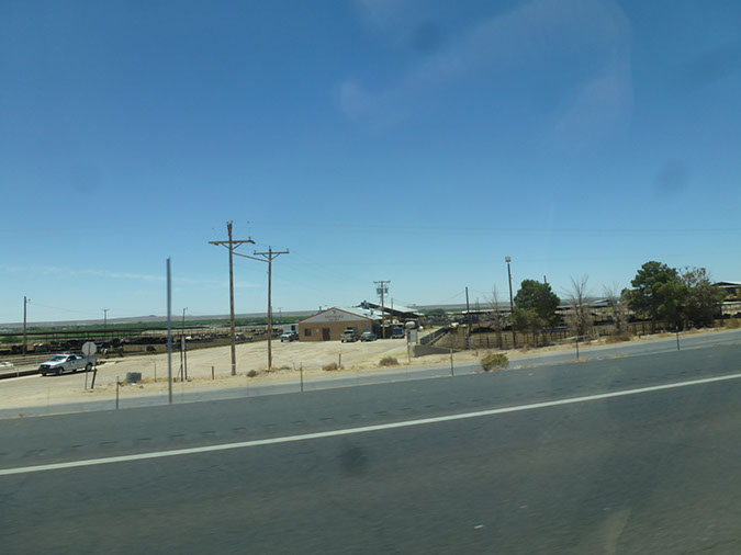P1090211