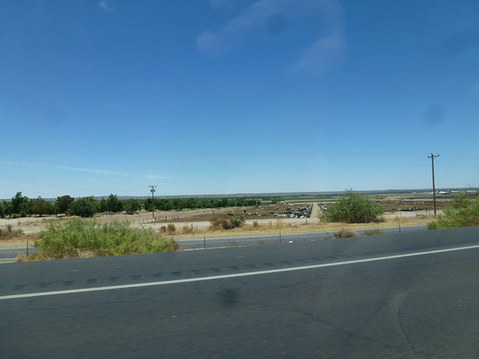 P1090212