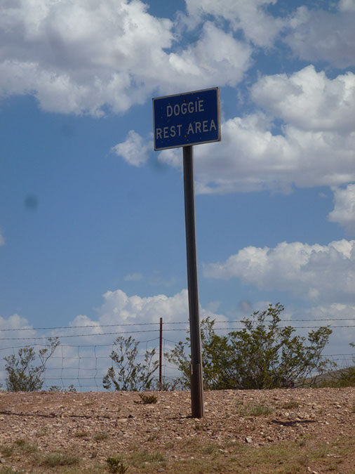 P1090246