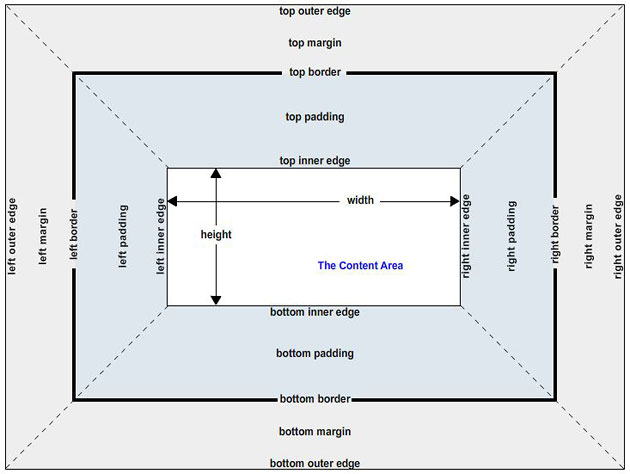 Box Model Diagram & Summary
