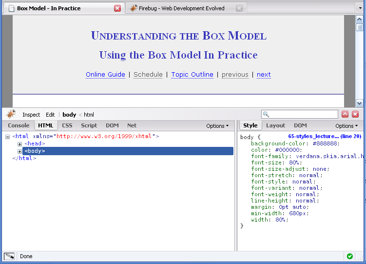 Firebug Window