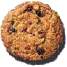 Oatmeal Cookie