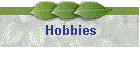 Hobbies