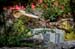 GardenTour005