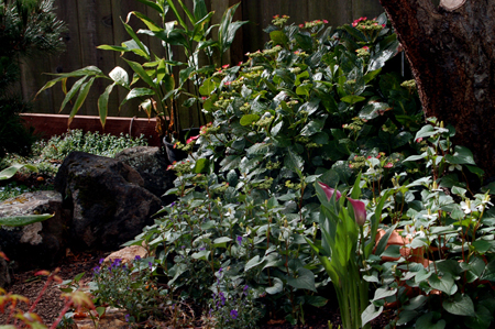GardenTour012