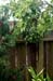 GardenTour014