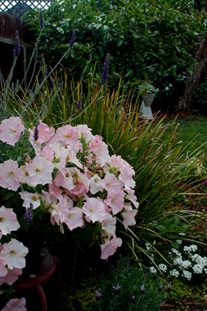 GardenTour024