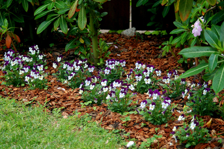 GardenTour025
