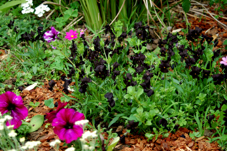 GardenTour028