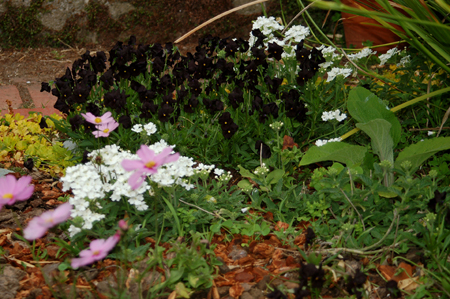 GardenTour029