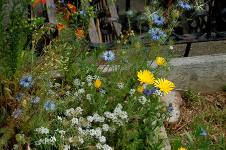 GardenTour037