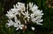 GardenTour035