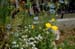 GardenTour037