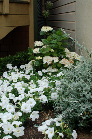 GardenTour038