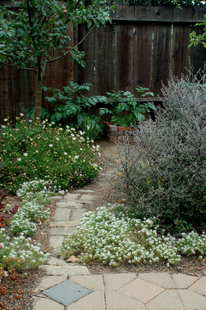 GardenTour042