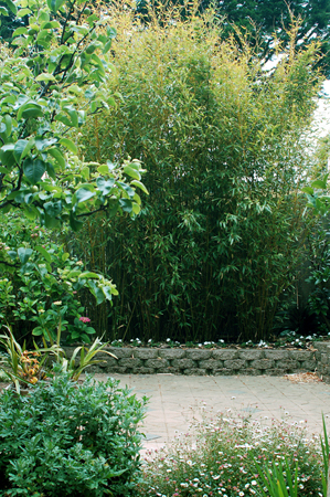 GardenTour044