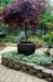 GardenTour039